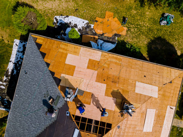 Best Storm Damage Roof Repair  in Nazareth, PA