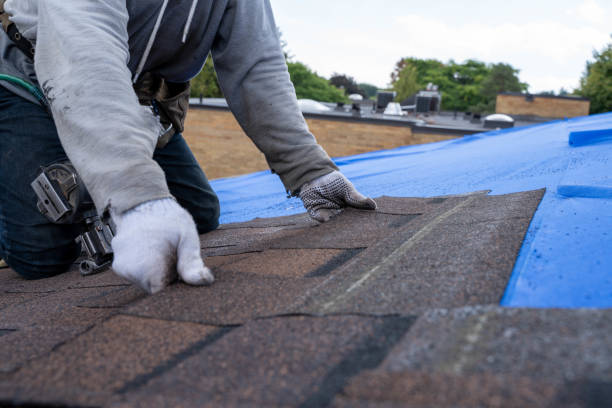 Roof Gutter Cleaning in Nazareth, PA